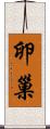 卵巢 Scroll