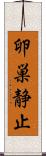 卵巣静止 Scroll