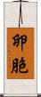 卵胞 Scroll