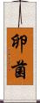 卵菌 Scroll