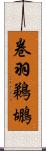 卷羽鵜鶘 Scroll