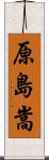 原島嵩 Scroll