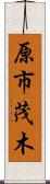 原市茂木 Scroll