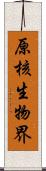 原核生物界 Scroll