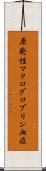 原発性マクログロブリン血症 Scroll