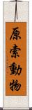 原索動物 Scroll