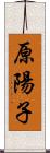 原陽子 Scroll