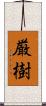 厳樹 Scroll