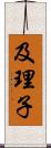 及理子 Scroll