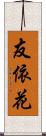 友依花 Scroll