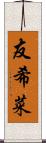 友希菜 Scroll
