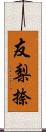 友梨捺 Scroll