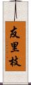 友里枝 Scroll