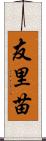 友里苗 Scroll