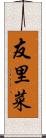 友里菜 Scroll