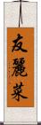 友麗菜 Scroll