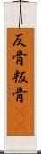 反骨 Scroll