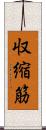 収縮筋 Scroll