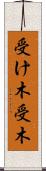 受け木 Scroll