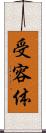 受容体 Scroll