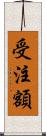 受注額 Scroll