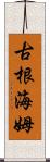 古根海姆 Scroll