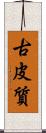 古皮質 Scroll