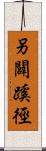 另闢蹊徑 Scroll
