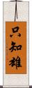 只知雄 Scroll