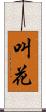 叫花 Scroll