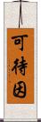 可待因 Scroll