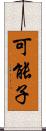 可能子 Scroll