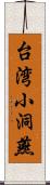 台湾小洞燕 Scroll