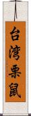 台湾栗鼠 Scroll