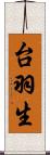 台羽生 Scroll