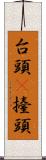 台頭(P);擡頭 Scroll