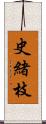 史緒枝 Scroll