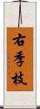 右季枝 Scroll