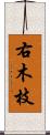 右木枝 Scroll