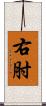 右肘 Scroll