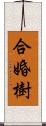 合婚樹 Scroll