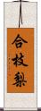 合枝梨 Scroll