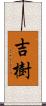 吉樹 Scroll