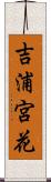 吉浦宮花 Scroll