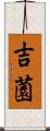 吉薗 Scroll