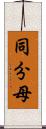 同分母 Scroll