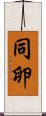 同卵 Scroll