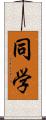 同学 Scroll