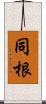 同根 Scroll