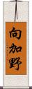 向加野 Scroll